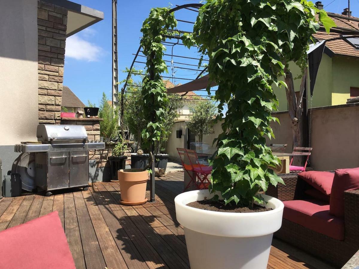 La Terrasse Selestadienne Sélestat Exterior photo
