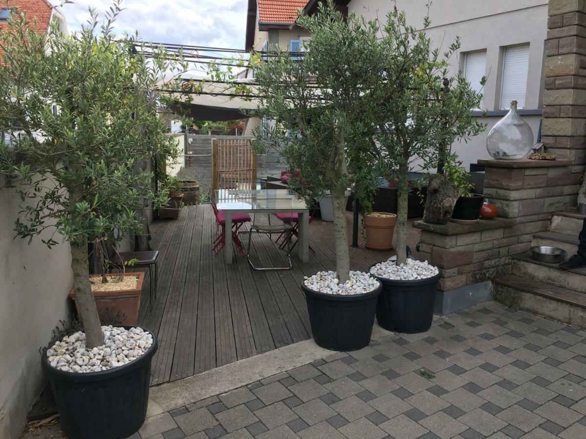 La Terrasse Selestadienne Sélestat Exterior photo